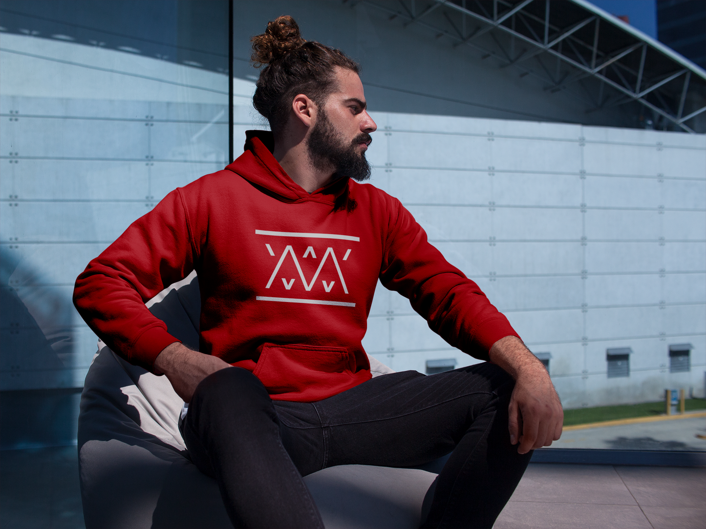Sweat à capuche BIG WM